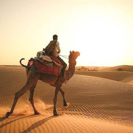 Desert Holiday Джайсалмер Екстериор снимка